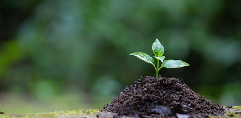 enhancing-workplace-safety-exploring-enviropol