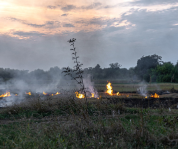 solution-for-acidid-mists-and-aerosol