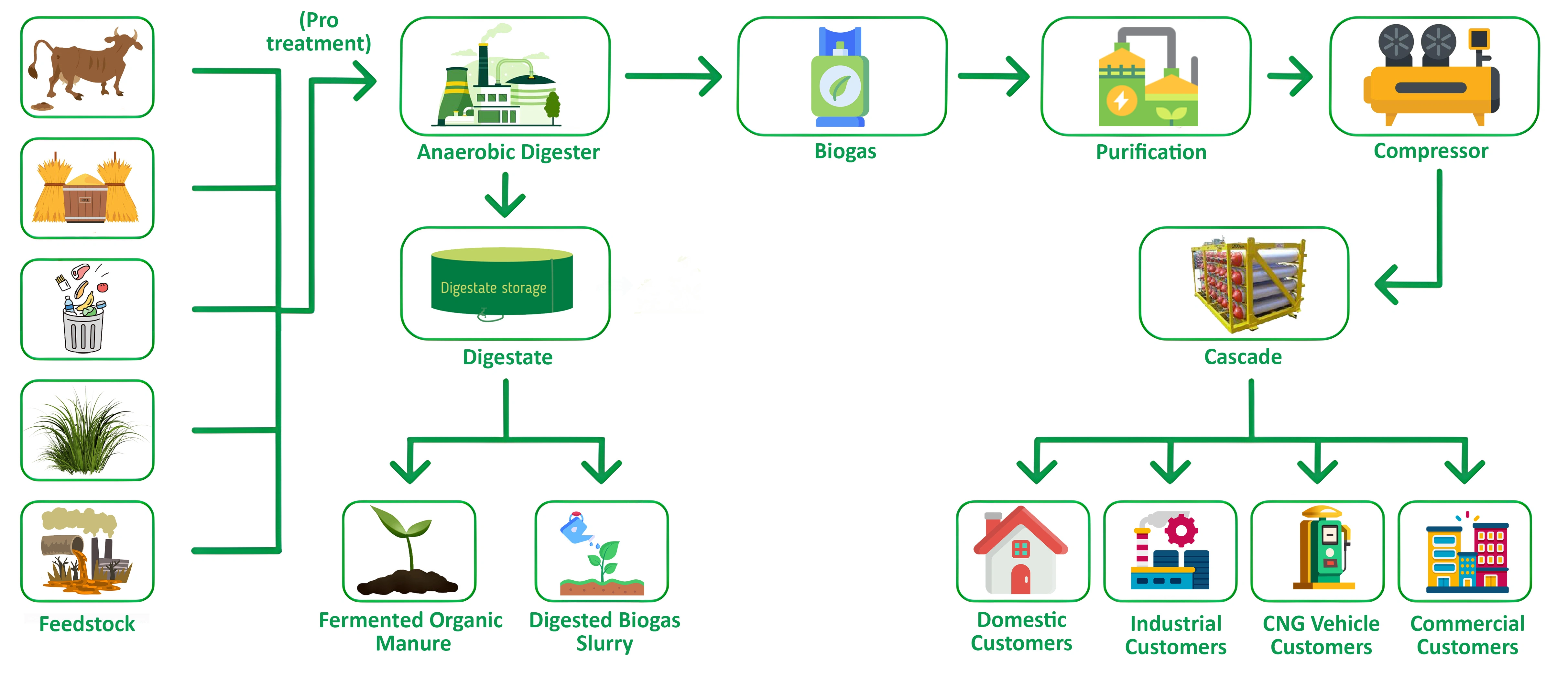 Compressed Biogas Plant Technology