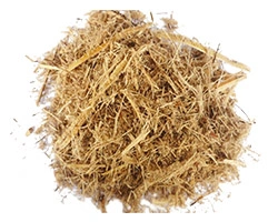 Bagasse Dryer Manufacturer in India