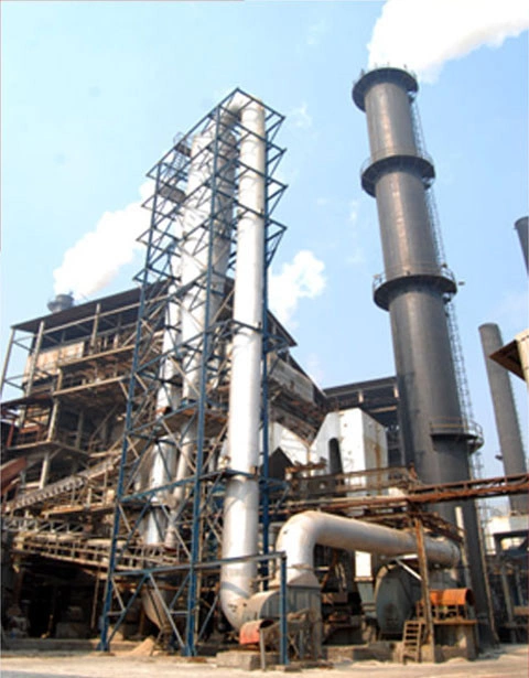 Biomass Dryer Manufacturer in India