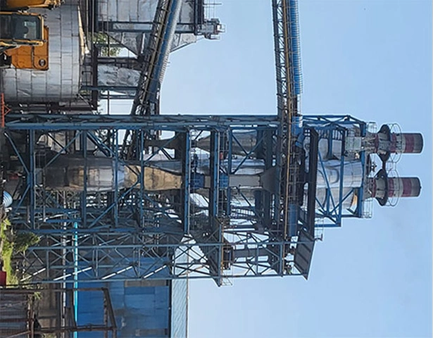 Biomass Pelletizing System Manufacturer