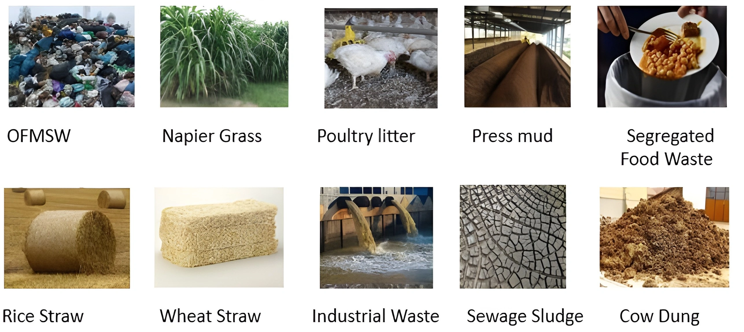 Compressed Biogas Plant Manufacturer in India