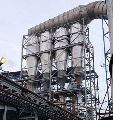 Biomass Pelletizing Systems in India