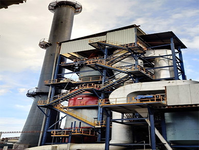Biomass Dryer Manufacturer India